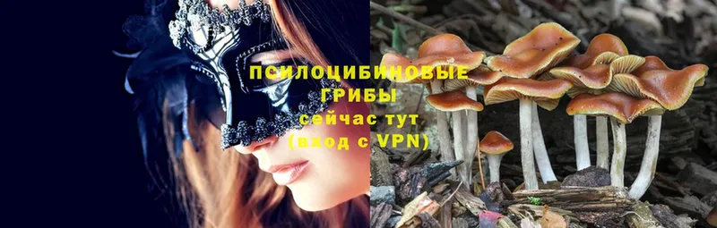 ОМГ ОМГ как зайти  закладки  Микунь  Галлюциногенные грибы MAGIC MUSHROOMS 